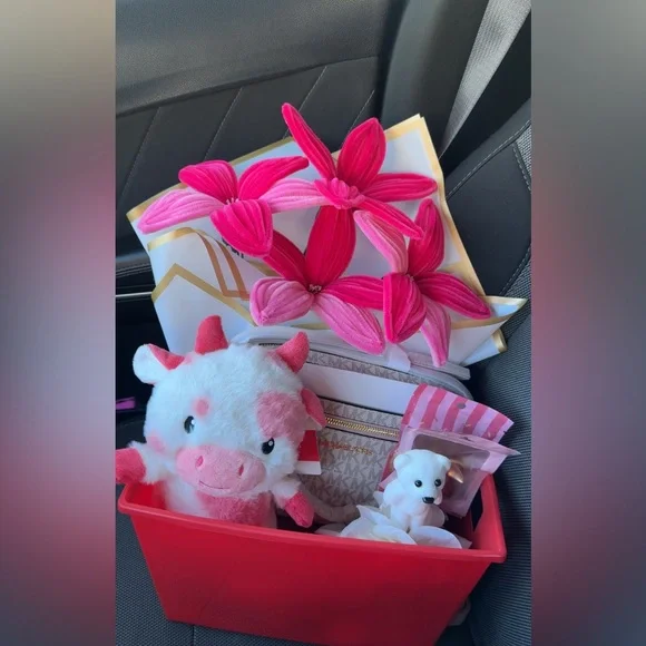 Michael Kors Valentine’s Day Purse gift basket🧸💌 - Picture 1 of 6